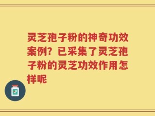 灵芝孢子粉的神奇功效案例？已采集了灵芝孢子粉的灵芝功效作用怎样呢
