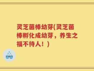 灵芝菌棒幼芽(灵芝菌棒孵化成幼芽，养生之福不待人！)