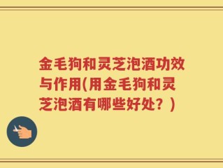 金毛狗和灵芝泡酒功效与作用(用金毛狗和灵芝泡酒有哪些好处？)