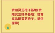 贵阳灵芝孢子基地(贵阳灵芝孢子基地：培育高品质灵芝孢子，提供保障)