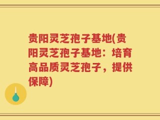 贵阳灵芝孢子基地(贵阳灵芝孢子基地：培育高品质灵芝孢子，提供保障)