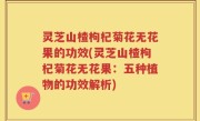 灵芝山楂枸杞菊花无花果的功效(灵芝山楂枸杞菊花无花果：五种植物的功效解析)