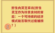 野生肉灵芝采访(野生灵芝作为珍贵食材的背后：一个可持续的经济模式能否取代过度捕捞？)