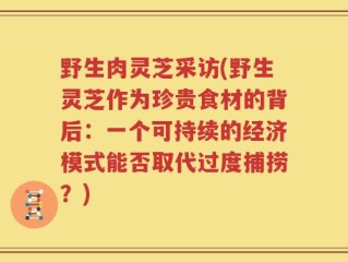 野生肉灵芝采访(野生灵芝作为珍贵食材的背后：一个可持续的经济模式能否取代过度捕捞？)