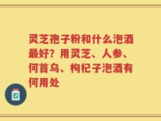 灵芝孢子粉和什么泡酒最好？用灵芝、人参、何首乌、枸杞子泡酒有何用处