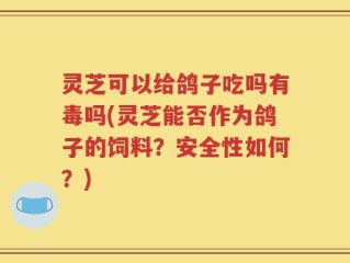 灵芝可以给鸽子吃吗有毒吗(灵芝能否作为鸽子的饲料？安全性如何？)