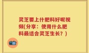 灵芝要上什肥料好呢视频(分享：使用什么肥料最适合灵芝生长？)