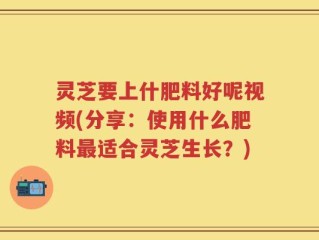 灵芝要上什肥料好呢视频(分享：使用什么肥料最适合灵芝生长？)