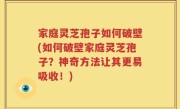 家庭灵芝孢子如何破壁(如何破壁家庭灵芝孢子？神奇方法让其更易吸收！)