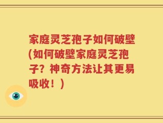 家庭灵芝孢子如何破壁(如何破壁家庭灵芝孢子？神奇方法让其更易吸收！)