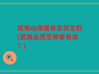 武夷山哪里有卖灵芝的(武夷山灵芝哪里有卖？)