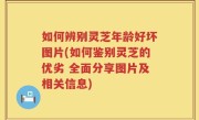 如何辨别灵芝年龄好坏图片(如何鉴别灵芝的优劣 全面分享图片及相关信息)