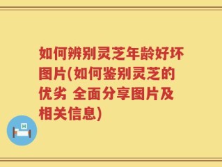 如何辨别灵芝年龄好坏图片(如何鉴别灵芝的优劣 全面分享图片及相关信息)