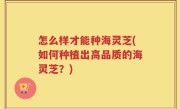 怎么样才能种海灵芝(如何种植出高品质的海灵芝？)
