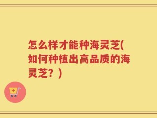 怎么样才能种海灵芝(如何种植出高品质的海灵芝？)