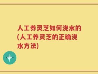 人工养灵芝如何浇水的(人工养灵芝的正确浇水方法)