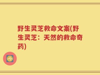 野生灵芝救命文案(野生灵芝：天然的救命奇药)