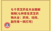 七个灵芝药名大全图解视频(七种常见灵芝药物大全：药效、功效、副作用一网打尽)