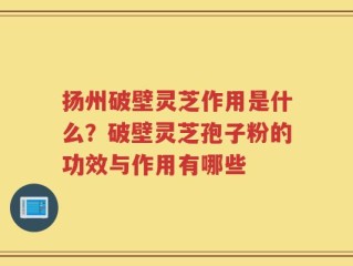 扬州破壁灵芝作用是什么？破壁灵芝孢子粉的功效与作用有哪些