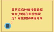 灵芝家庭种植视频教程大全(如何在家种植灵芝？完整视频教程分享)