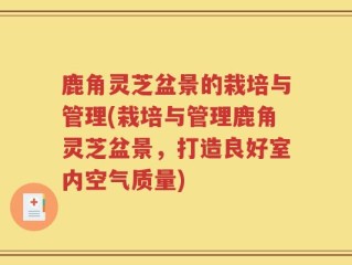 鹿角灵芝盆景的栽培与管理(栽培与管理鹿角灵芝盆景，打造良好室内空气质量)