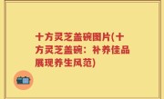 十方灵芝盖碗图片(十方灵芝盖碗：补养佳品展现养生风范)