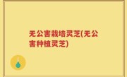 无公害栽培灵芝(无公害种植灵芝)