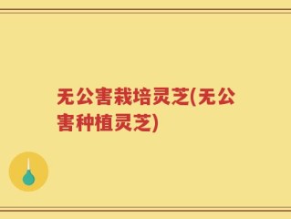 无公害栽培灵芝(无公害种植灵芝)