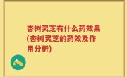 杏树灵芝有什么药效果(杏树灵芝的药效及作用分析)