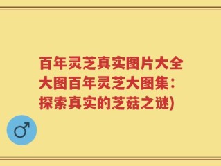百年灵芝真实图片大全大图百年灵芝大图集：探索真实的芝菇之谜)