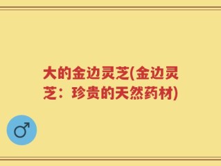 大的金边灵芝(金边灵芝：珍贵的天然药材)