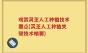 观赏灵芝人工种植技术要点(灵芝人工种植关键技术精要)