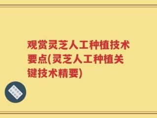 观赏灵芝人工种植技术要点(灵芝人工种植关键技术精要)