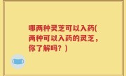 哪两种灵芝可以入药(两种可以入药的灵芝，你了解吗？)