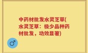 中药材批发水灵芝草(水灵芝草：极少品种药材批发，功效显著)