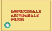 仙居野生灵芝在山上怎么找(寻找仙居山上的野生灵芝)
