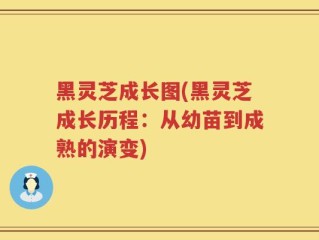 黑灵芝成长图(黑灵芝成长历程：从幼苗到成熟的演变)