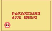 野山优品灵芝(优质野山灵芝，健康无忧)