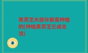 黑灵芝大部分都是种植的(种植黑灵芝已成主流)