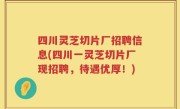 四川灵芝切片厂招聘信息(四川一灵芝切片厂现招聘，待遇优厚！)