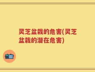 灵芝盆栽的危害(灵芝盆栽的潜在危害)