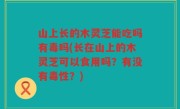 山上长的木灵芝能吃吗有毒吗(长在山上的木灵芝可以食用吗？有没有毒性？)