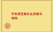 千年灵芝有什么作用与功效