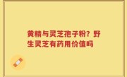 黄精与灵芝孢子粉？野生灵芝有药用价值吗