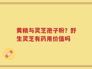 黄精与灵芝孢子粉？野生灵芝有药用价值吗