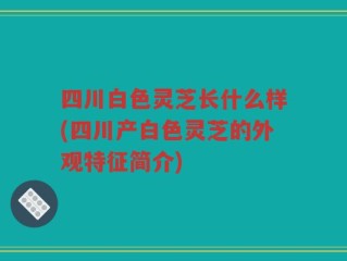 四川白色灵芝长什么样(四川产白色灵芝的外观特征简介)