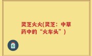 灵芝火火(灵芝：中草药中的“火车头”)