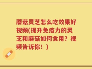 蘑菇灵芝怎么吃效果好视频(提升免疫力的灵芝和蘑菇如何食用？视频告诉你！)