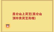 昆仑山上灵芝(昆仑山顶珍贵灵芝亮相)