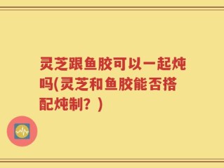 灵芝跟鱼胶可以一起炖吗(灵芝和鱼胶能否搭配炖制？)